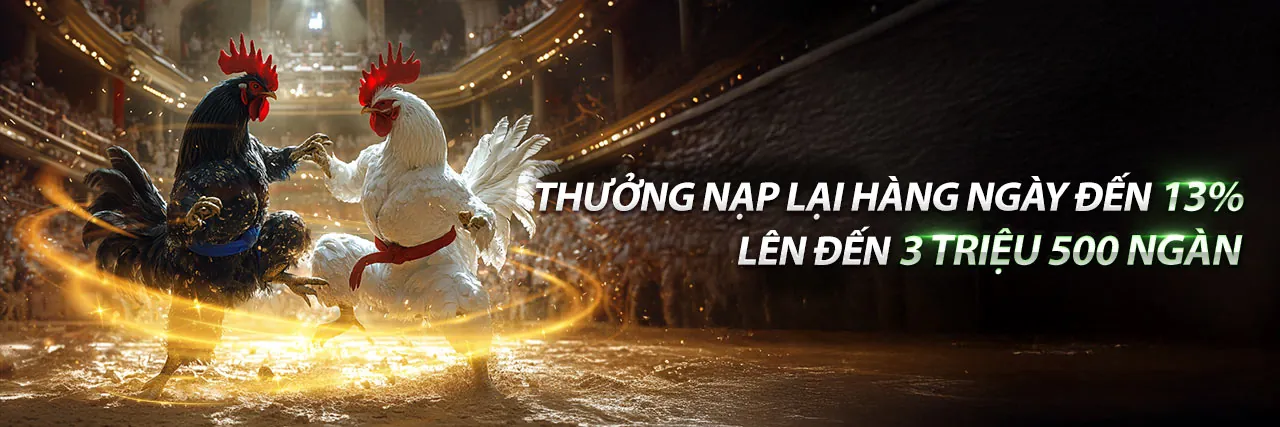 Đá Gà Trực Tuyến 33win33 2026 Chính Thức | Ưu Đãi Hấp Dẫn
